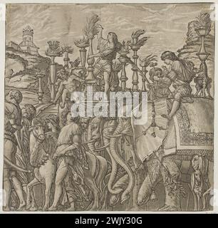 Andrea Andreani (actif à Mantoue vers 1540-1623). 'Le triomphe de Jules César', selon Mantegna : éléphants portant des torches allumées précédés d'un taureau mené par un prêtre (Bartsch, Tome XII, section 6, n°11). Couleur en couleur. 1599. Musée des Beaux-Arts de la ville de Paris, petit Palais. 112278-20 16e 16e XVI 16e 16e Centre, gravure Banque D'Images