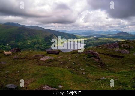 Glanmore Lake est un lac d'eau douce situé dans le sud-ouest de l'Irlande. Il est situé sur la péninsule de Beara dans le comté de Kerry.Glanmore Lake mesure environ 1 km Banque D'Images