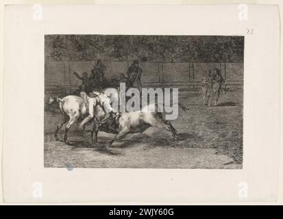 Francisco Goya (1746-1828) 'Tauromachie - PL. 23 - Mariano Ceballos, alias El Indio, Mata El Toro des de Caballo - H 226 III1'. Gravure et aquatinte, BRUNISSOIR Works - première édition. Musée des Beaux-Arts de la ville de Paris, petit Palais. Tauromachie - PL. 23 - Mariano Ceballos, alias l'Indien, tue le taureau de son cheval - H 226 III1 confrontation, aquatinte, Aquatinte, Arena, arène, Bull, Bullfight, tauromachie, gravure, gravure, combat, première édition, Indien, tuer, Matador, Premiere Edition, public, spectateur, taureau, Torero, tuer, combat, confrontation, indien Banque D'Images