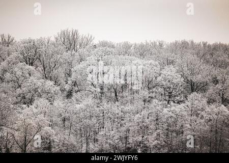 Baltimore, États-Unis. 17 février 2024. 17 février 2024 - Lake Roland, Comté de Baltimore, Maryland, États-Unis. Une chute de neige à la mi-février apporte des vues panoramiques et la faune au lac dans la neige. (Photo de Robyn Stevens Brody/Sipa USA) crédit : Sipa USA/Alamy Live News Banque D'Images