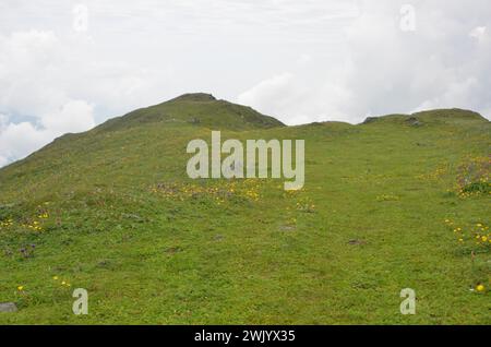 Zone alpine région himalaya du Pakistan Banque D'Images