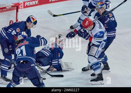 Deutsche Eishockey Liga DEL Banque D'Images