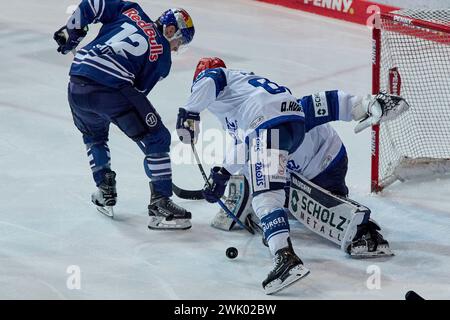 Deutsche Eishockey Liga DEL Banque D'Images