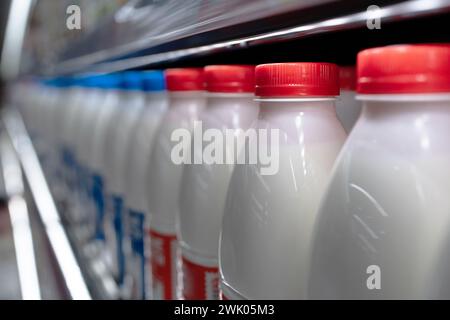 Rangée de bouteilles de lait frais dans le réfrigérateur, magasin d'alimentation, personne Banque D'Images