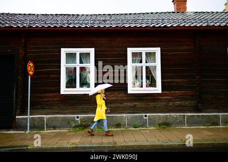 Schweden Travel Blick AM 20. Août 2023 au Musée Dalarnas à Falun in der schwedischen Provinz Dalarna. Falun Dalarna Schweden  JK13482 *** Suède Travel View le 20 août 2023 au Musée Dalarnas à Falun dans la province suédoise de Dalarna Falun Dalarna Suède JK13482 Banque D'Images