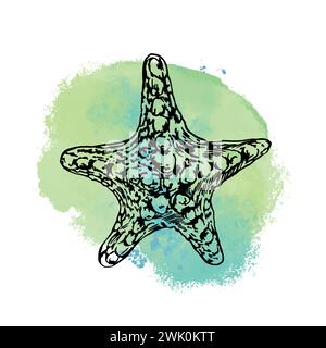 Starfish, graphismes. Illustration vectorielle sur un fond de tache bleue. Élément de conception pour cartes, invitations, bannières, flyers, couvertures, étiquettes, affiches. Illustration de Vecteur