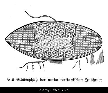 Raquette des indigènes d'Amérique du Nord pour la randonnée hivernale sur les chemins de neige, illustration du 19ème siècle Banque D'Images