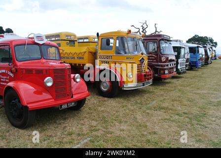 Une ligne de camions commerciaux classiques stationnés au 48th Historic Vehicle Gathering, Powderham, Devon, Angleterre, Royaume-Uni. Banque D'Images