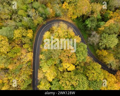 Vue aérienne d'une route sinueuse à travers les bois d'automne Banque D'Images