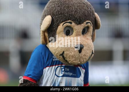 La mascotte de Hartlepool United H'Angus lors du match de la Ligue nationale de Vanarama entre Hartlepool United et Boreham Wood au Victoria Park, Hartlepool le samedi 17 février 2024. (Photo : Mark Fletcher | mi News) crédit : MI News & Sport /Alamy Live News Banque D'Images