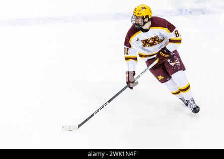 South Bend, Indiana, États-Unis. 17 février 2024. L'attaquant du Minnesota Jimmy Snuggerud (81) patine avec la rondelle lors d'un match de hockey de la NCAA entre les Golden Gophers du Minnesota et les notre Dame Fighting Irish à Compton Family Ice Arena à South Bend, Indiana. John Mersits/CSM/Alamy Live News Banque D'Images