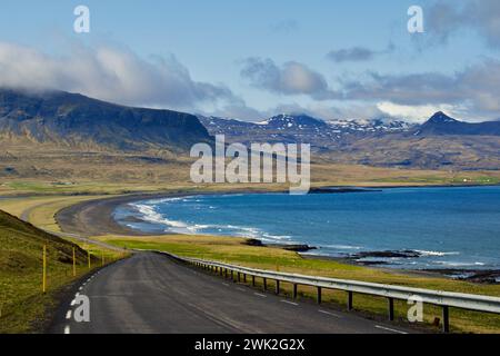 Plage de sable noir avec des rochers et des réflexes en rocade en Islande avec falaises, océan et herbe verte pendant une journée ensoleillée Banque D'Images