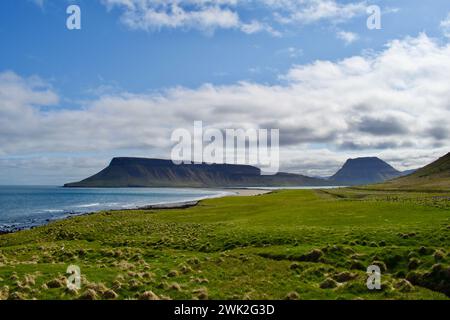 Plage de sable noir avec des rochers et des réflexes en rocade en Islande avec falaises, océan et herbe verte pendant une journée ensoleillée Banque D'Images