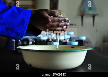 La jeune agricultrice Liza Legodi plante et transforme du café à Ga-Mashashane, un village rural du Limpopo, en Afrique du Sud Banque D'Images