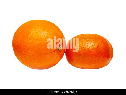 Image d'une orange et d'une mandarine sur fond blanc Banque D'Images