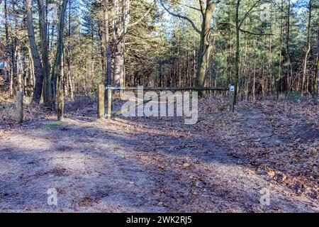 Paysage forestier avec sentier de randonnée avec barre transversale en bois et panneaux : chiens en laisse requis dans Duinengordel - Parc National Hoge Kempen, pins en b Banque D'Images