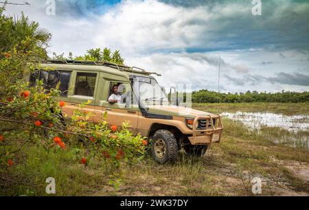 Un véhicule à 4 roues motrices emmène un touriste en safari à la recherche d'animaux à l'intérieur du parc national de Nyerere (réserve de gibier Selous) en Tanzanie. Banque D'Images