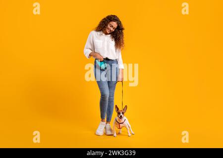 Propriétaire femelle avec laisse regardant Jack Russell assis Banque D'Images