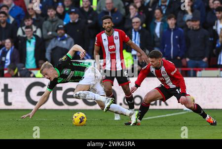 Bramall Lane, Sheffield, Royaume-Uni. 18 février 2024. Premier League Football, Sheffield United contre Brighton et Hove Albion ; Jan Paul van Hecke de Hove Albion est attaqué par Oliver Norwood Credit : action plus Sports/Alamy Live News de Sheffield United Banque D'Images