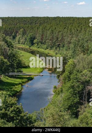 Une rivière pittoresque serpentant à travers une forêt luxuriante abondante d'arbres imposants Banque D'Images