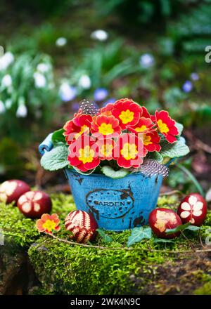 Arrangement floristique avec des fleurs primula jaunes et oranges dans un vieux pot turquoise vintage avec du moût 'Garden' dessus et des œufs de pâques. Banque D'Images