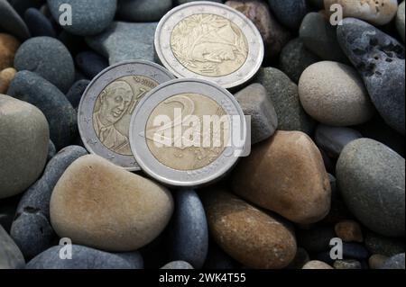 Pièce française de 2 euros avec l'image de de Gaulle 2010. Monnaie de la zone euro. Banque D'Images