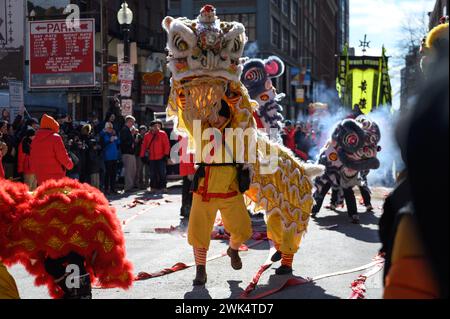 Boston, Massachusetts, États-Unis. 18 février 2024. Deux interprètes dans un costume de lion doré dansent au défilé de danse du lion du nouvel an chinois de Boston dans le quartier Chinatown de Boston, Massachusetts, le dimanche 18 février 2024. (Crédit image : © Andrew Burke-Stevenson/ZUMA Press Wire) USAGE ÉDITORIAL SEULEMENT! Non destiné à UN USAGE commercial ! Crédit : ZUMA Press, Inc/Alamy Live News Banque D'Images