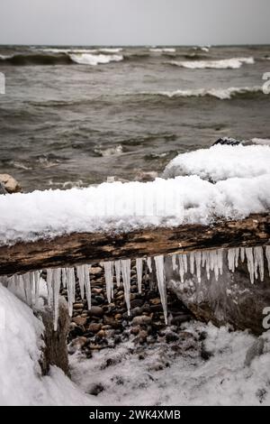 Glaçons suspendus à une vieille bûche sur une plage rocheuse avec des vagues. Southampton, Ontario, Canada Banque D'Images