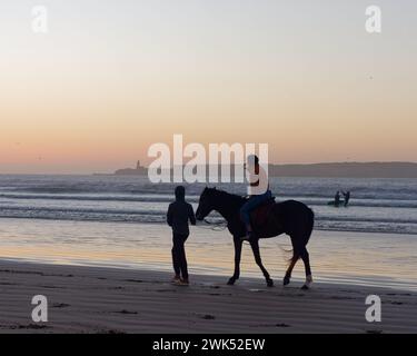 Cavaliers de cheval conduits sur une plage de sable au coucher du soleil à Essaouira, Maroc. 18 février 2024 Banque D'Images