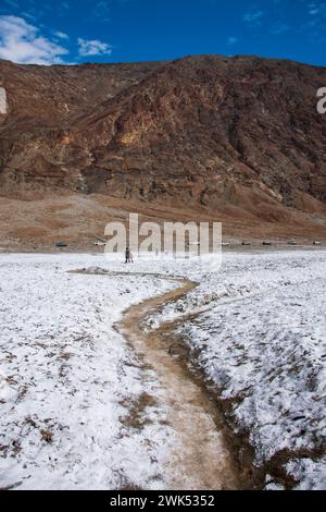 Le lac Manly n'apparaît pas souvent dans le bassin de Badwater dans le parc national de la Vallée de la mort, et est maintenant une destination touristique populaire. Banque D'Images