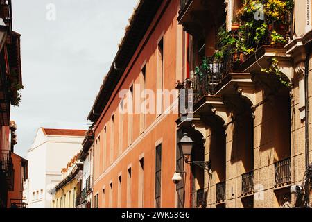 Rue de la vieille ville en perspective. Façade de maison rouge avec des plantes vertes en pot sur les balcons. Extérieur du bâtiment à la lumière du soleil et rue de la ville en perspective. Banque D'Images