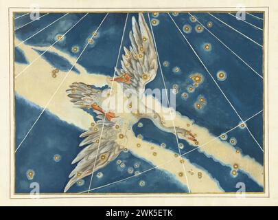 Cygnus - Johann Bayer, gravure vintage,1603. Carte céleste de Constellation avec les étoiles de l'Uranometria de Bayer. Print comporte une représentation du cygne Banque D'Images