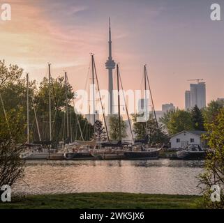 Une chaîne de yachts dans la marina de Toronto Center Island avec des mâts rivalisant avec la silhouette de la Tour CN, avec en toile de fond le centre-ville Banque D'Images