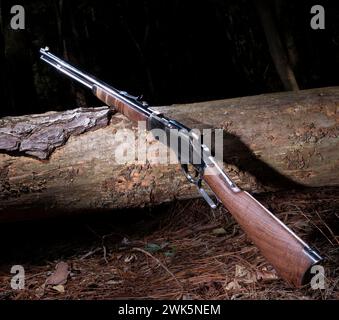 Fusil à levier appuyé contre une bûche tombée dans la forêt la nuit. Banque D'Images
