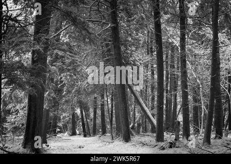 Ces images en noir et blanc représentent la péninsule du comté de Door située dans le nord-est du Wisconsin. On parle souvent de Cape Cod of the Banque D'Images