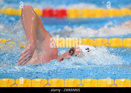 Doha, Qatar. 18 février 2024. David Aubry, de France, participe à la finale masculine du 1500 m nage libre aux Championnats du monde de natation 2024 à Doha, Qatar, le 18 février 2024. Crédit : Xue Yuge/Xinhua/Alamy Live News Banque D'Images