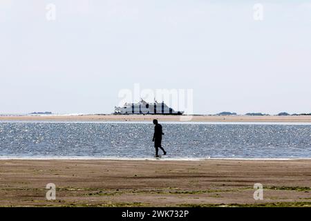 Vacanciers sur la plage de l'île d'Amrum, Wittduen, 18.06.2020 Banque D'Images