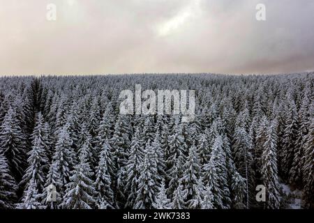 Vue aérienne de la forêt enneigée dans les montagnes du Harz, Sankt Andreasberg, 14.12.2019 Banque D'Images