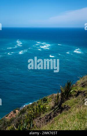 Rencontre de la mer de Tasman, à gauche, et de l'océan Pacifique, à droite, au cap Reinga, Northland, Île du Nord, nouvelle-Zélande Banque D'Images