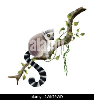 Lémurien grimpant sur une branche avec des vignes tropicales et des lianes illustration aquarelle. Singe tropical mignon dessiné à la main Banque D'Images