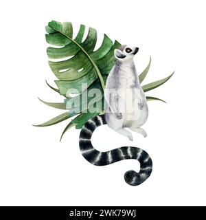 Singe lémurien tropical assis dans des feuilles de palmier et regardant dans l'illustration aquarelle du ciel. Animal de jungle dessiné à la main Banque D'Images