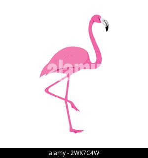 Vecteur d'illustration d'oiseaux de silhouette de flamant rose Illustration de Vecteur
