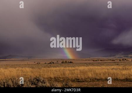 Une vue panoramique d'un arc-en-ciel au-dessus d'un champ à Jackson Hole, Wyoming. Banque D'Images