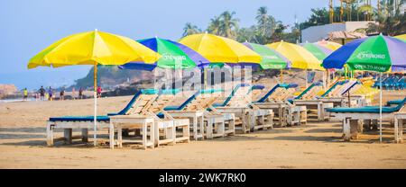 Chaises longues vides sous des parasols de chaume sur une plage de sable à Goa Inde. parasols de plage avec feuilles de palmier. Goa Inde février-16,2024 Banque D'Images