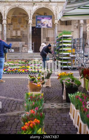 Cremona, Italie - février 17th 2024 personnes centre de foule et place duomo pour le shopping à vendeur stand dans le marché de rue en hiver saturé tous les jours Banque D'Images
