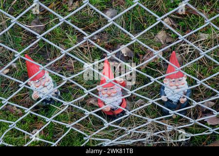 Gartenzwerge hinter Maschendraht Gartenzwerge hinter Maschendraht, 18.02.2024, Borkwalde, Brandebourg, Hinter einem Maschendrahtzaun befinden sich drei Gartenzwerge. *** Gnomes de jardin derrière le treillis métallique gnomes de jardin derrière le treillis métallique, 18 02 2024, Borkwalde, Brandebourg, derrière une clôture en treillis métallique il y a trois gnomes de jardin Banque D'Images