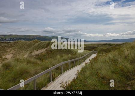 Les dunes de sable d'Ynyslas font partie de la réserve naturelle nationale de Dyfi Banque D'Images