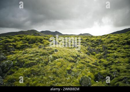 Plus de mousse, lave de Hellisheidi, Islande Banque D'Images