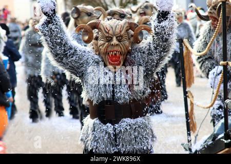 Grande procession du carnaval Souabe-Alemanian Banque D'Images