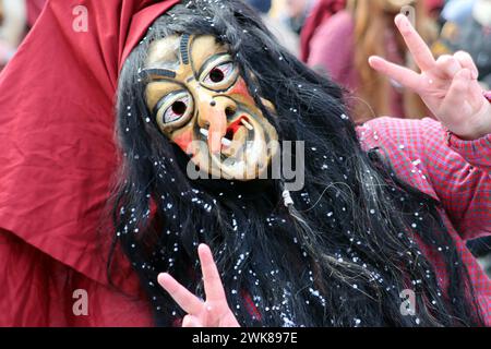 Grande procession du carnaval Souabe-Alemanian Banque D'Images